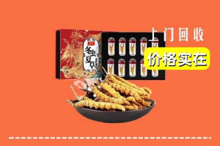 西安市新城回收冬虫夏草